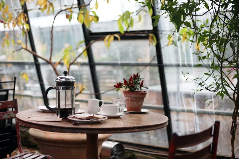 The Study Nook Cafe